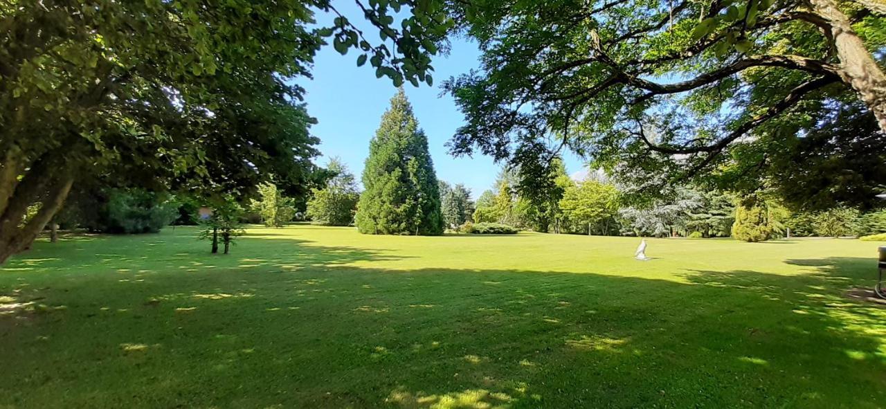 A l'Orée du Parc Saint-Priest-des-Champs Extérieur photo